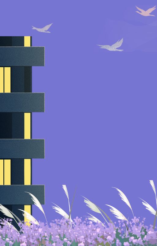 custom banner