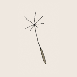 HOTBLOOD! x Mad Cave Studios