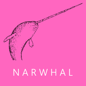 The Invader - Narwhal - A Prologue (2/4)