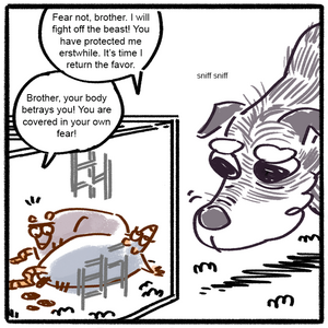 The new resident (enter Aggie!)