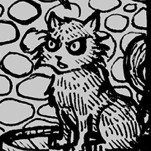 002 - It was the cat's fault!