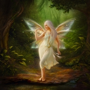 Darkness in the Forest of Light