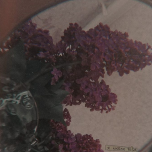 Chapter I «A New Family»