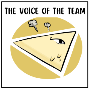 5. The Voice of The Team