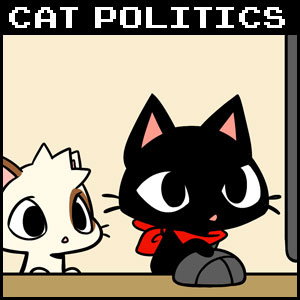 Cat Politics