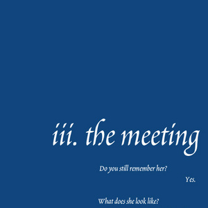 iii. the meeting