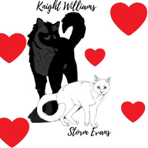 I asked for Answers, Not more questions!