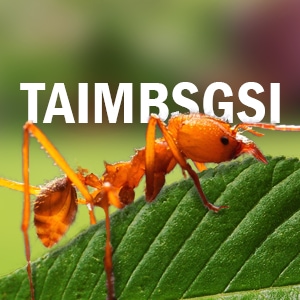 Chapter 2: The Ants waged War in My Backyard.