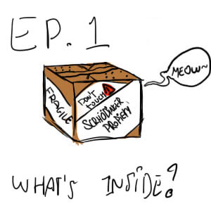 The Adventures of the Schrödinger Cat: Ep.1: What's Inside?