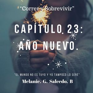 Cap&iacute;tulo 23: A&ntilde;o Nuevo.