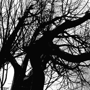 The Pale Duke : Iconoclast / EP.5