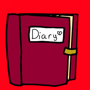 Diary Entry 8