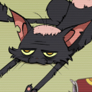 Cameraman Meets Pusskowitz