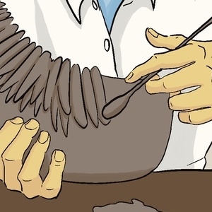  Ep 1. &iquest;Qui&eacute;n eres ? -Pag 4.