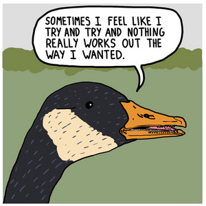 Interview With A Goose