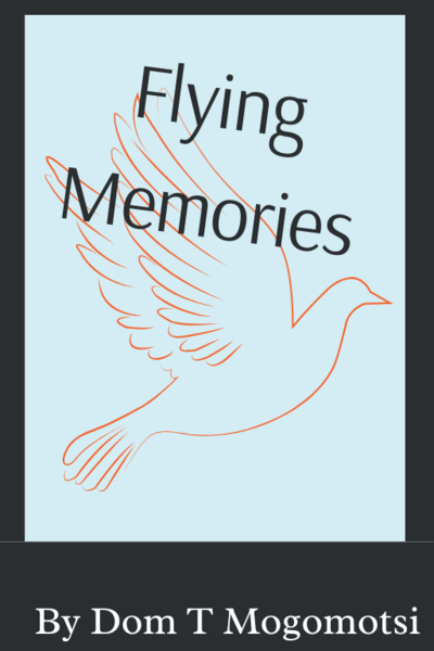 Flying Memories