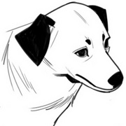 O C&Atilde;O E A M&Atilde;O DO CORA&Ccedil;&Atilde;O