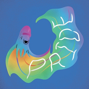 "Rainbow" Blanket Octopus
