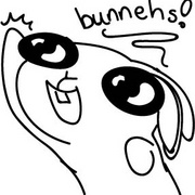Adventures with Bunnehs