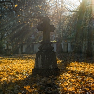 Cemetery Solitude - 1