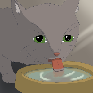 The Cartographer's Guild