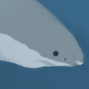 Shark animation