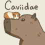 Caviidae