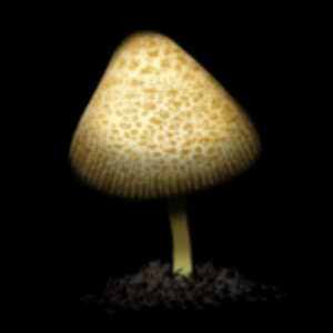 Lepiota Lutea