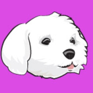 Maltese Puppy in Peril!