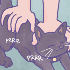 Soon It Will Be Ripe