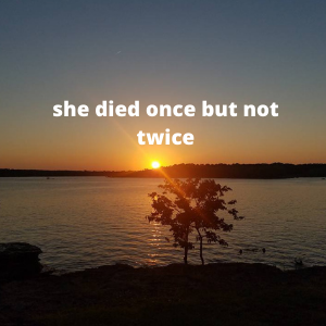 he who sins once more