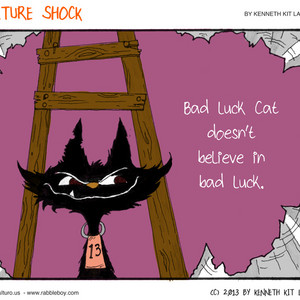 Bad luck cat doesn't believe in bad luck.