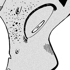 Seltzmann pages 21-22