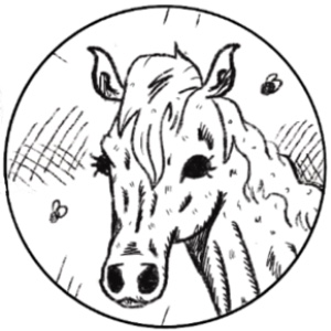 Riccioli d'oro e il cavallo
