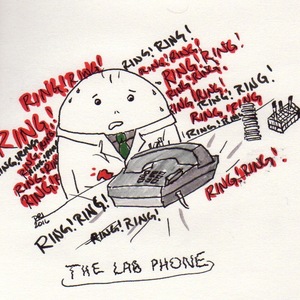 The Lab Phone