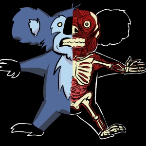 The Tragedy of Muffin