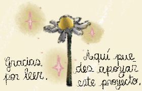 custom banner