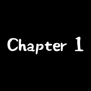 Ch. 1 - Pg 1-4
