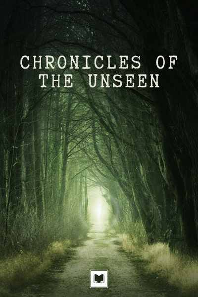 Chronicles of the Unseen Universe