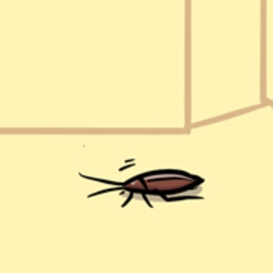 Cockroach