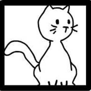 Cat Problems 