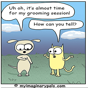 Grooming Appointment