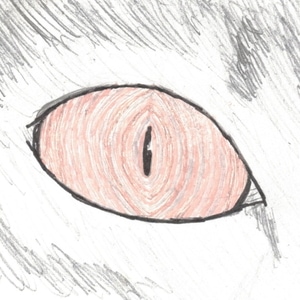 Page 4 - Heliotrope