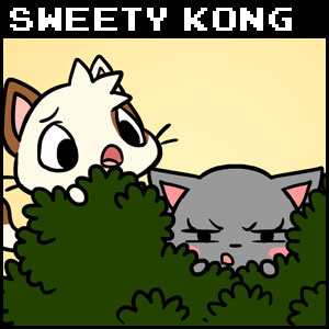 Sweety Kong