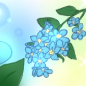Forget-Me-Not 2