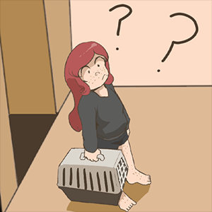 Hide and Cat