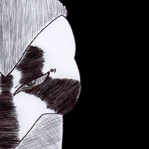 Cardinal &amp; Chimera