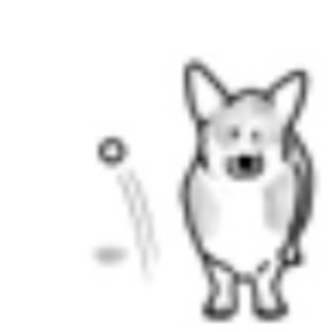 Not A Retriever