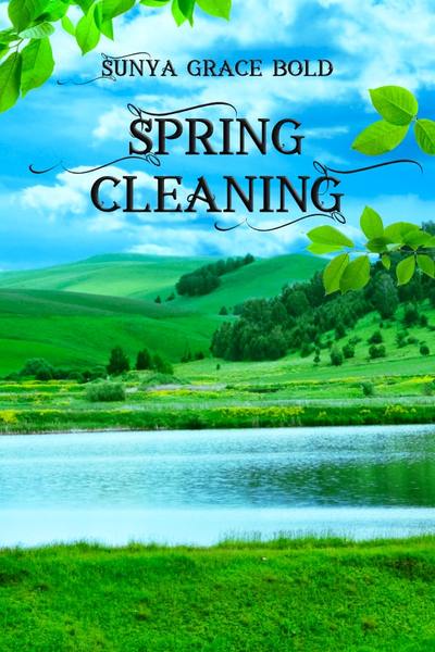 Spring Cleaning