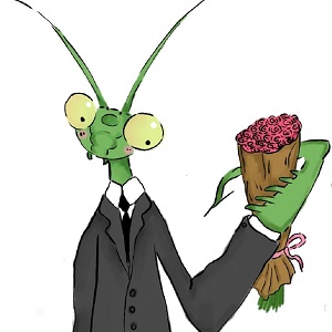 Mantis